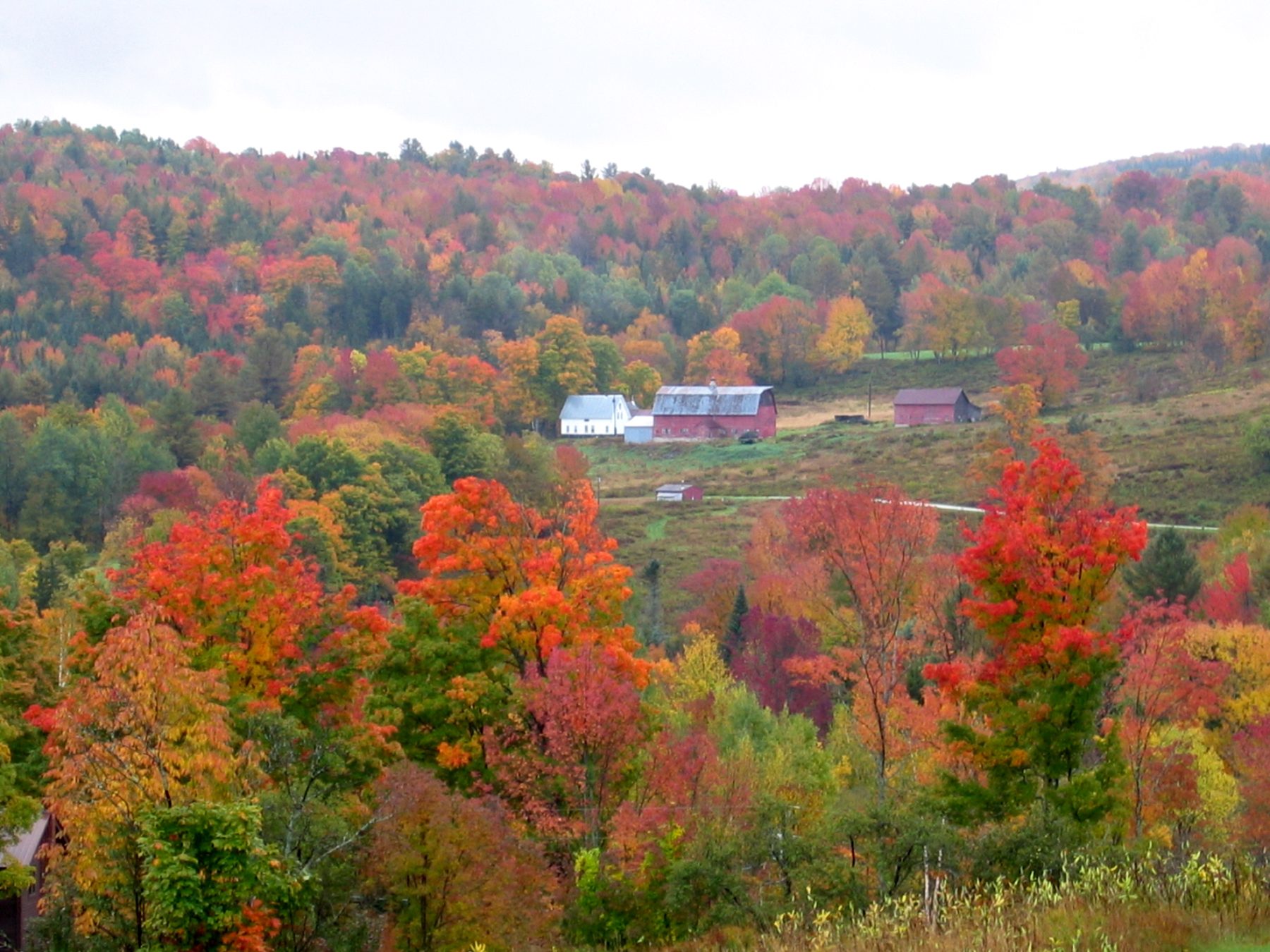 Fall foliage over a Vermont farm valley
